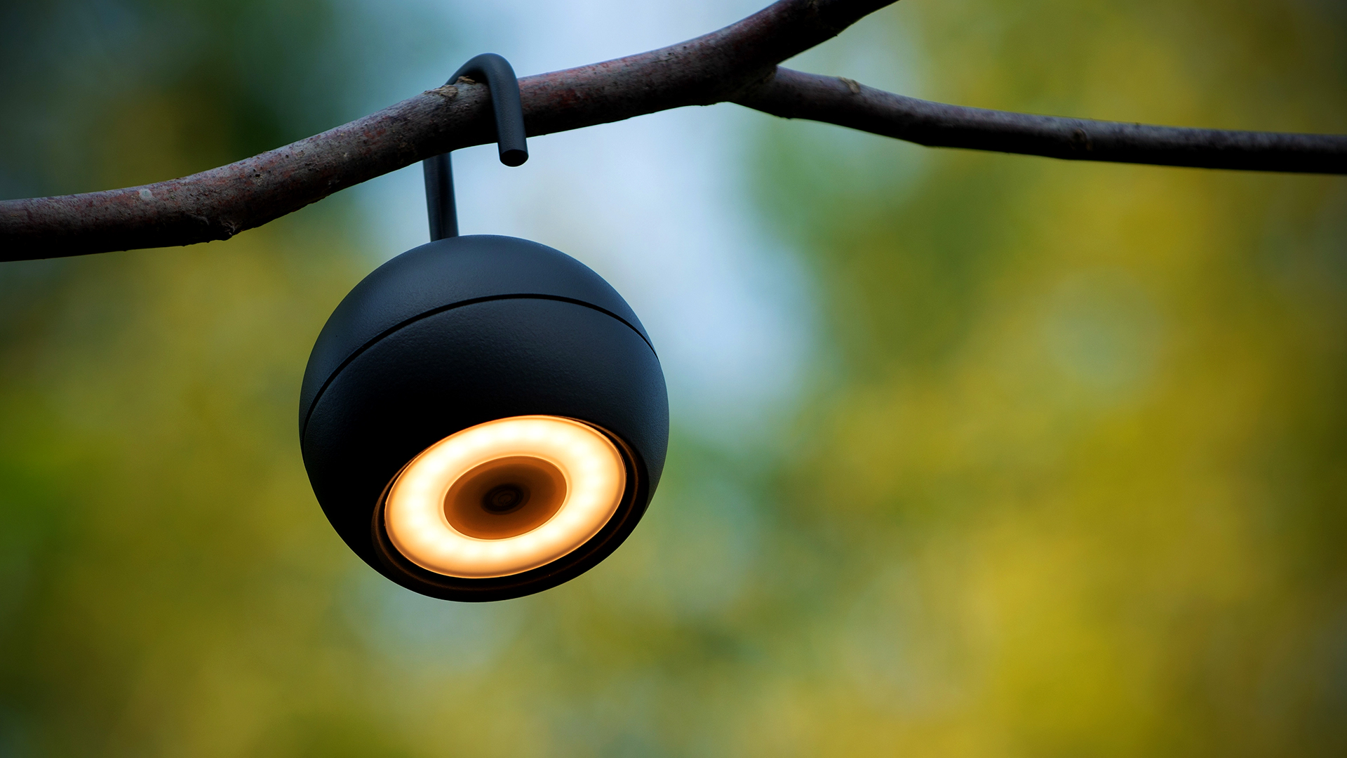 Oeil01